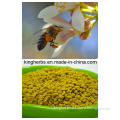 Bee Pollen Protein